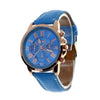 Beautiful Roman Numeral Leather Watch